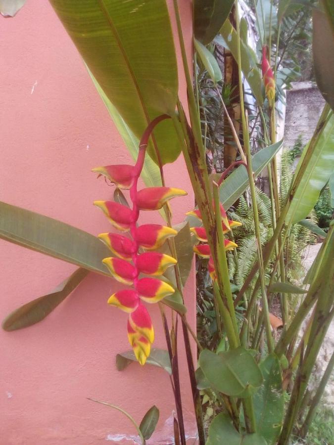 Pousada Portal Das Flores ปาราตี ภายนอก รูปภาพ